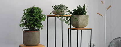 乐刷移卡科技 | 1400㎡深圳湾科技生态园企业办公室123656的网站怎么开www_日博365wWW133562_365体育投注注册工程实录