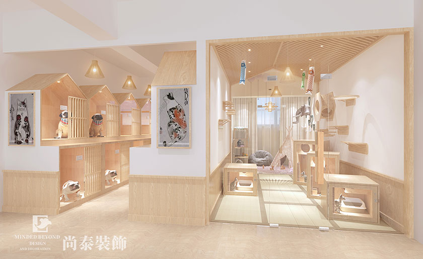 宠物店宠物休息区123656的网站怎么开www_日博365wWW133562_365体育投注注册效果图